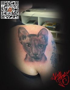 Tat17